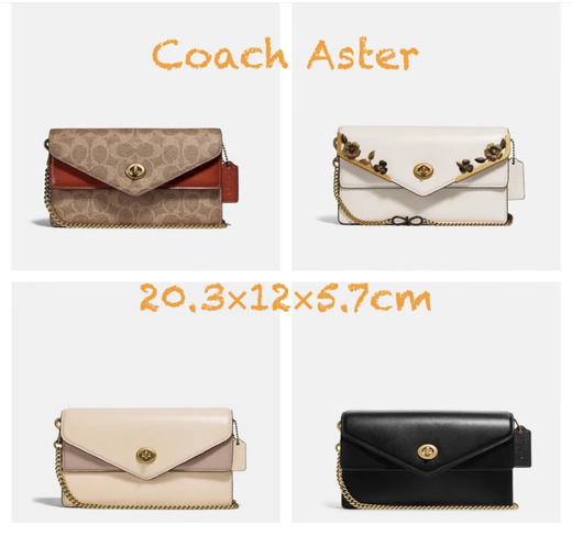 🌱夏季年中折扣预定！Coach专柜款Aster信封包 ¥1550直邮到手！ 商品图2