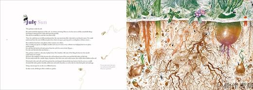 A Big Garden/一个大花园 商品图2