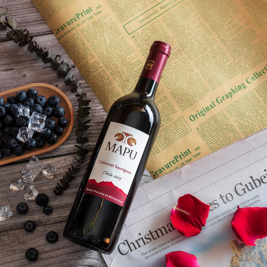 菲利普罗思柴尔德男爵大地赤霞珠红葡萄酒2017 商品图1