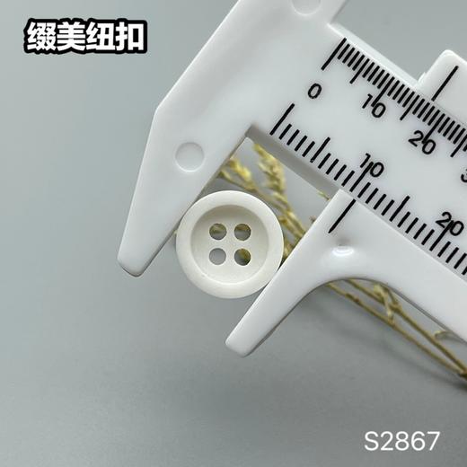 S2867(整包购买) 商品图9