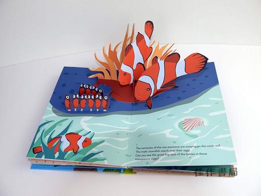 What's in the Egg?: Pop-Up Book/鸡蛋里有什么？：立体书 商品图1
