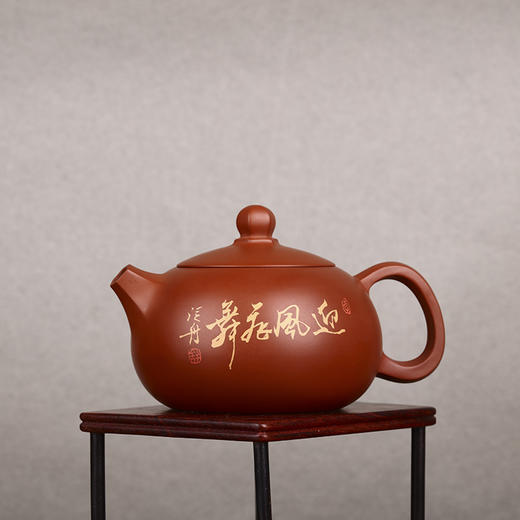 舒得玻（泛舟） 茶壶 商品图1
