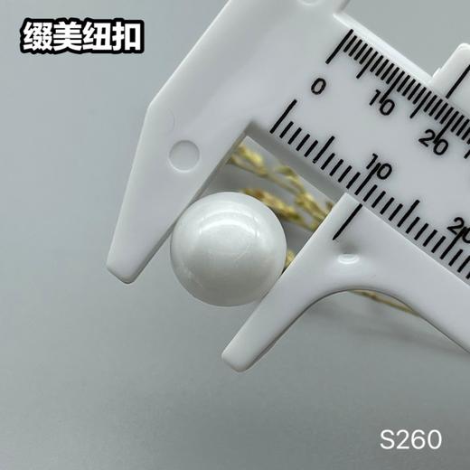 S260(整包购买) 商品图5