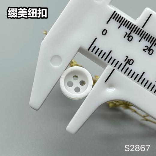 S2867(整包购买) 商品图7