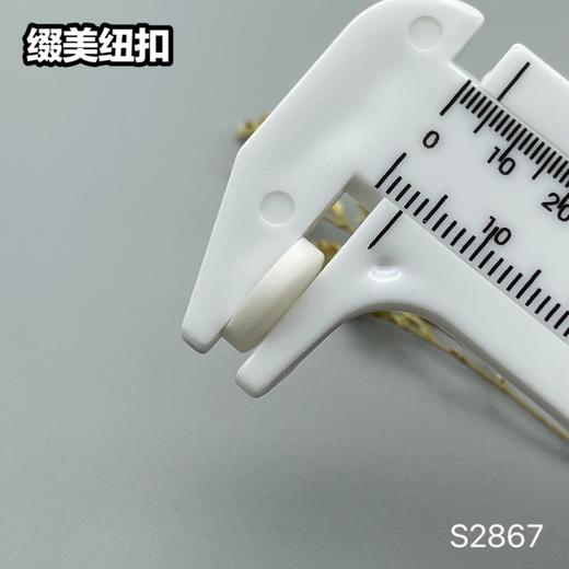 S2867(整包购买) 商品图10