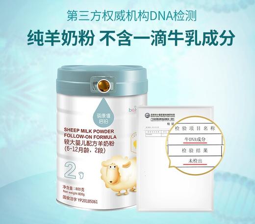 蓓康僖（bekari）启铂纯绵羊奶粉2段（6-12月适用）婴幼儿奶粉 800g*6罐套装 韩国原装进口【蓓康僖】 商品图3