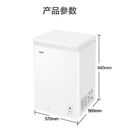 海尔（Haier）冷柜BC/BD-103HTD 商品图8