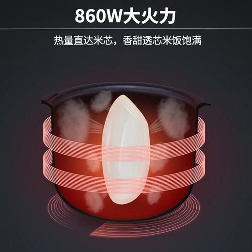 九阳（Joyoung）电饭煲 电饭锅 智能预约 多功能大功率 5L土灶原釜 预约大火力 F-50FY813 商品图3
