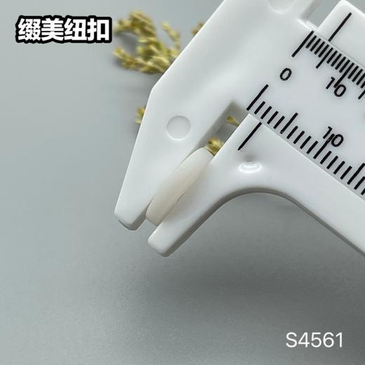 S4561(整包购买) 商品图10