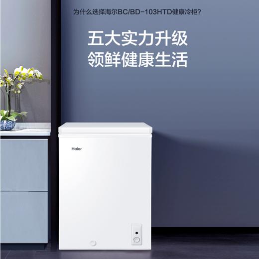 海尔（Haier）冷柜BC/BD-103HTD 商品图1