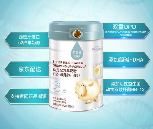 蓓康僖（bekari）启铂纯绵羊奶粉3段（1-3岁适用）幼儿配方奶粉 800g*6罐套装 韩国原装进口【蓓康僖】 商品图1