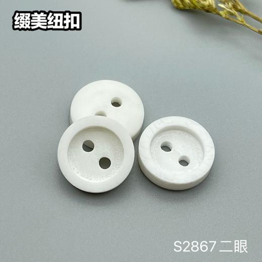 S2867(整包购买) 商品图1