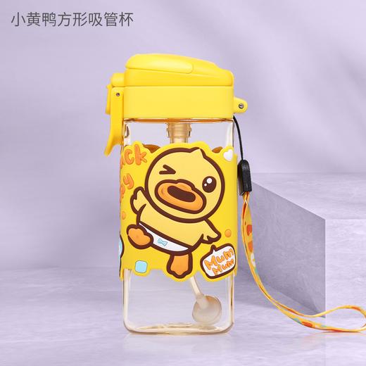 PPSU雪糕杯300ML 商品图1