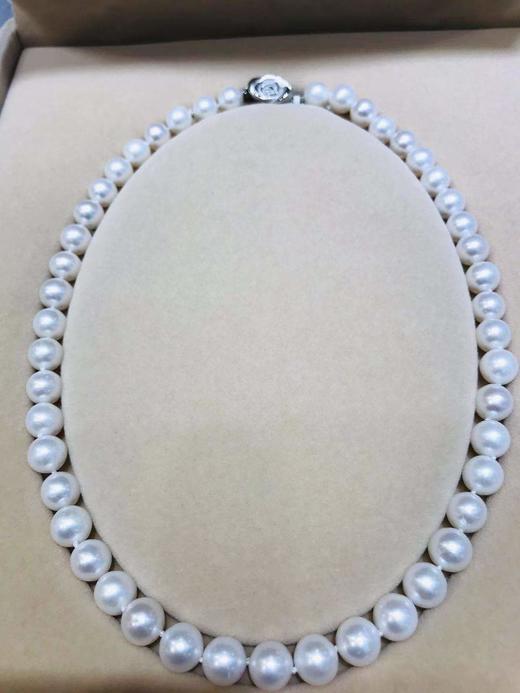 2F  金鸿珍珠  淡水珍珠项链 商品图0