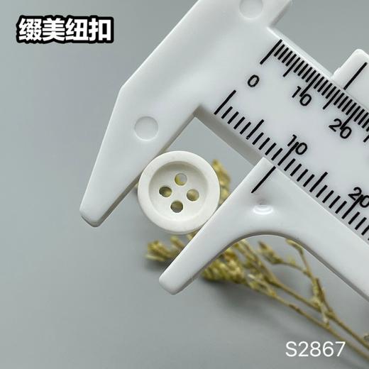 S2867(整包购买) 商品图8