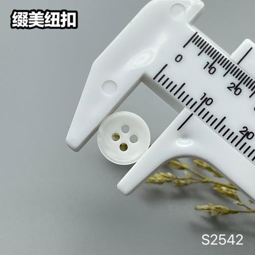 S2542(整包购买) 商品图6