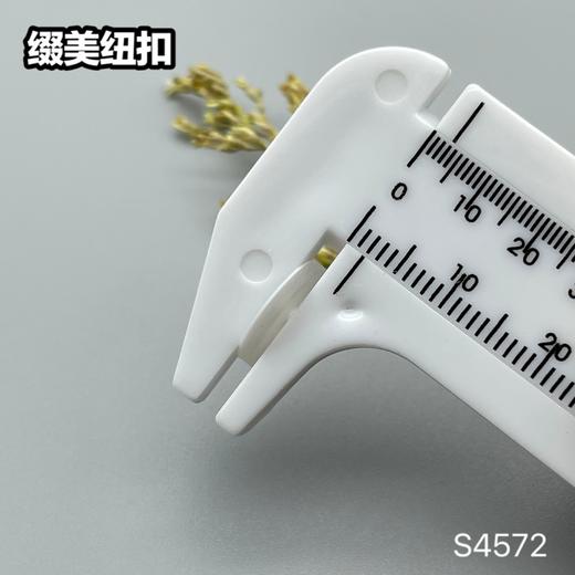 S4572(整包购买) 商品图10