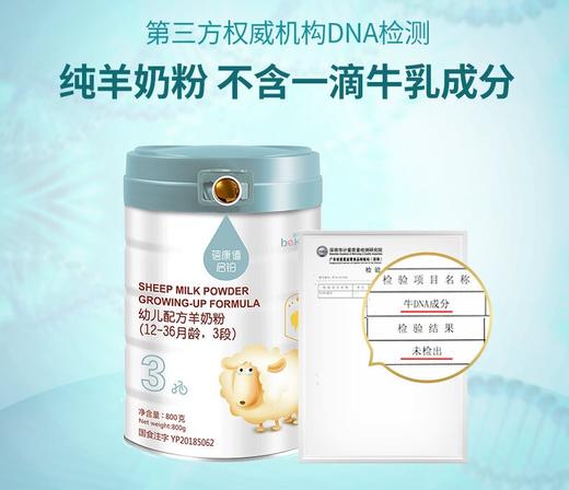 蓓康僖（bekari）启铂纯绵羊奶粉3段（1-3岁适用）幼儿配方奶粉 800g*6罐套装 韩国原装进口【蓓康僖】 商品图3