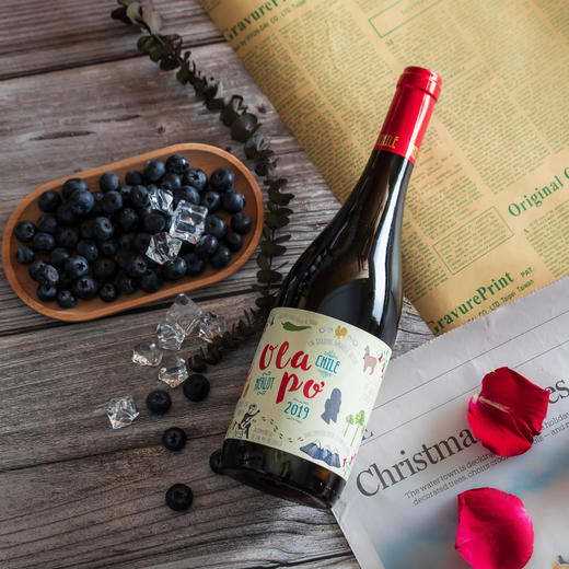 欧乐坡梅洛红葡萄酒 商品图1