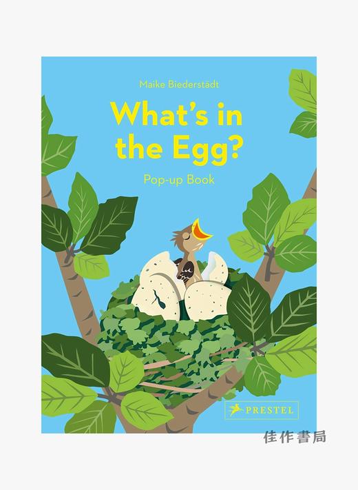 What's in the Egg?: Pop-Up Book/鸡蛋里有什么？：立体书 商品图0