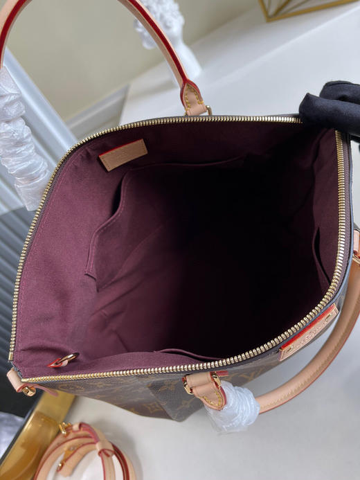 春季特价💰850 原单LV M48814 TURENNE 中号手袋实用 商品图6