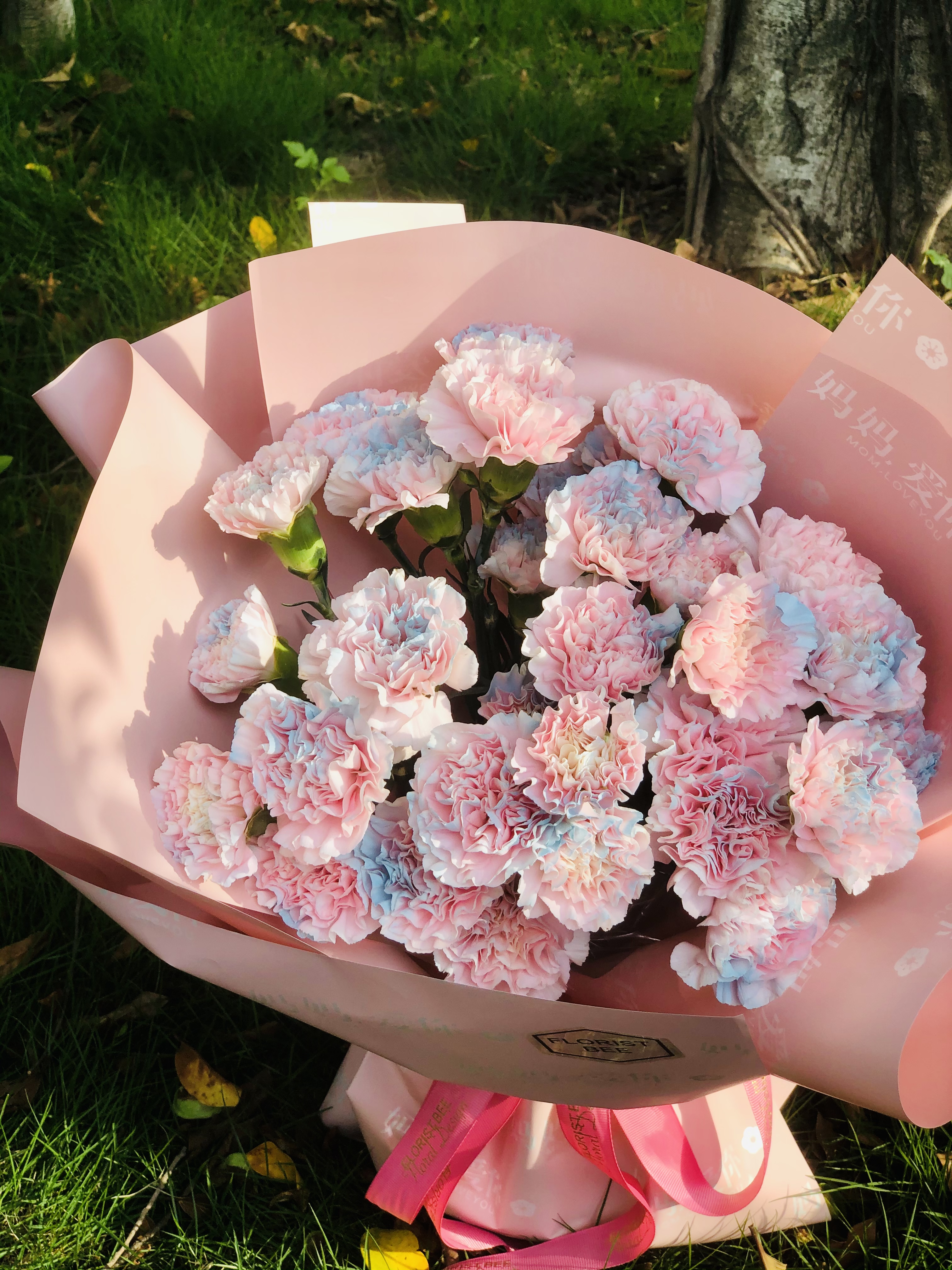 母亲节冰心粉佳人康乃馨花束