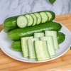 山东水果小黄瓜 商品缩略图0