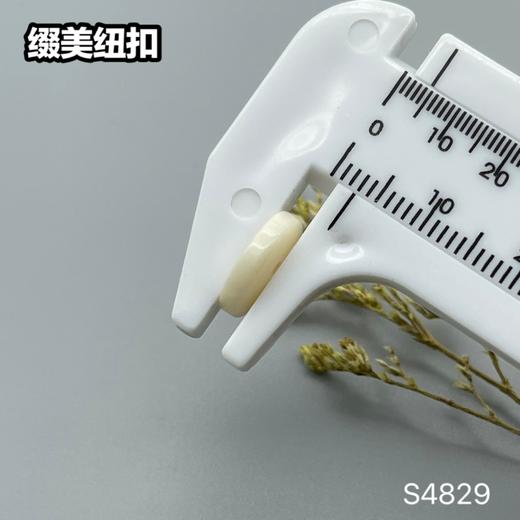 S4829(整包购买) 商品图9