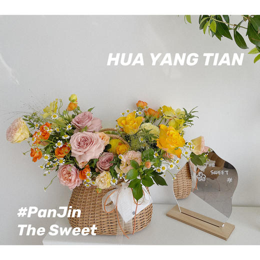  春野喷泉 · 大提篮 商品图0