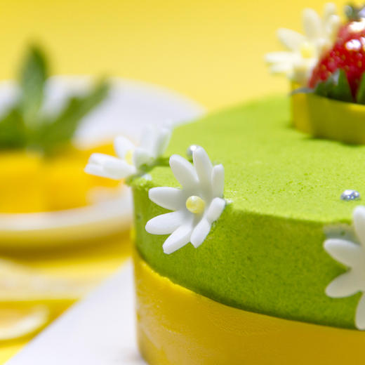 【田园抹茶】- 花园雏菊渐露微笑 松茸草绿装扮着大地 商品图3