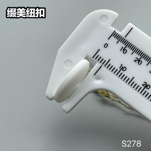 S278(整包购买) 商品图10