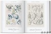 【全新现货】【40周年系列】Ernst Haeckel – 40th Anniversary Edition/恩斯特·海克尔– 40周年纪念版 商品缩略图2