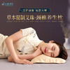 【大象健康优选】小鹿晚安.艾珠养生枕休整.颈椎健康了！睡得更香了！ 商品缩略图0