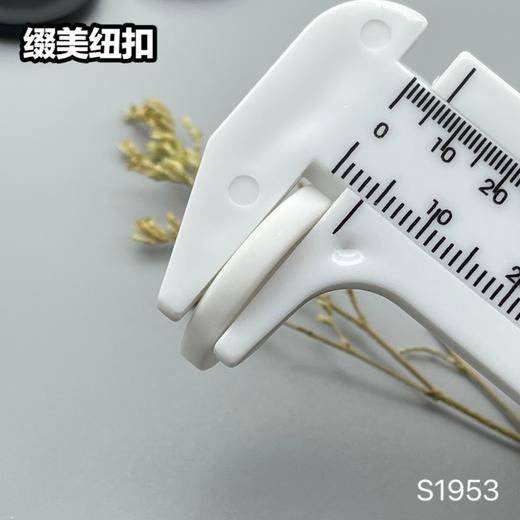 S1953(整包购买) 商品图9