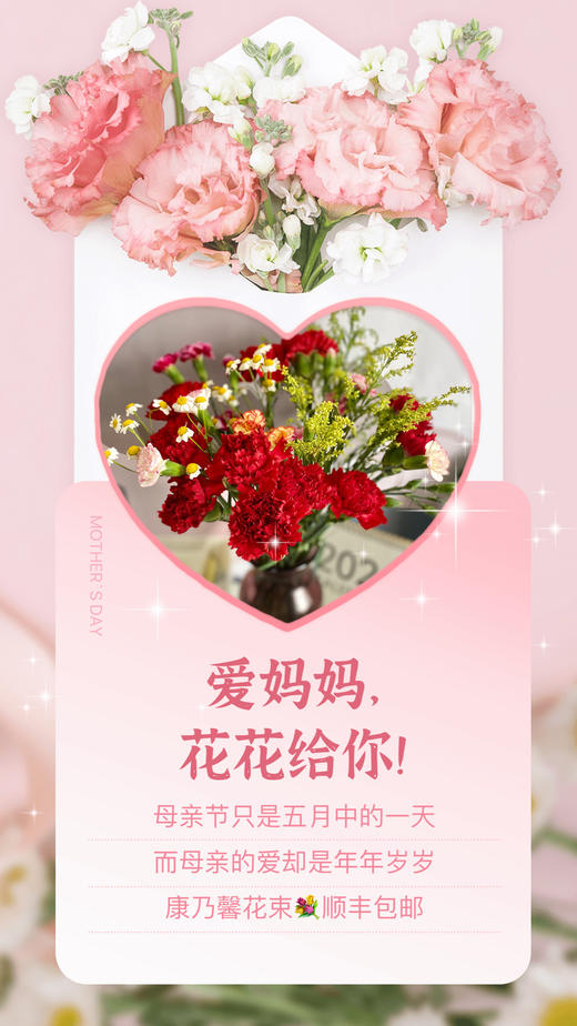 真爱永恒-母亲节康乃馨混搭花束（云南） 商品图1