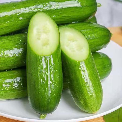山东水果小黄瓜 商品图1