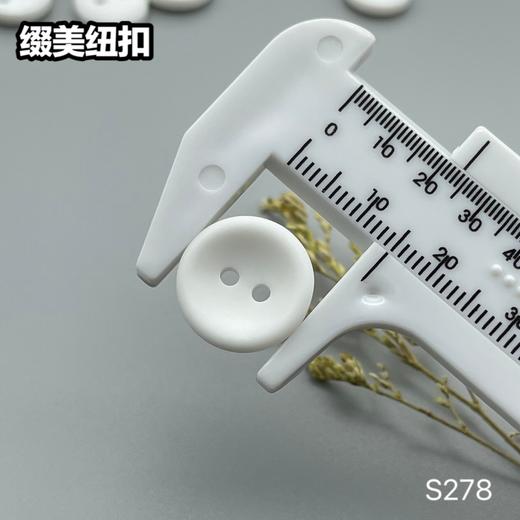 S278(整包购买) 商品图7