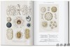 【全新现货】【40周年系列】Ernst Haeckel – 40th Anniversary Edition/恩斯特·海克尔– 40周年纪念版 商品缩略图1