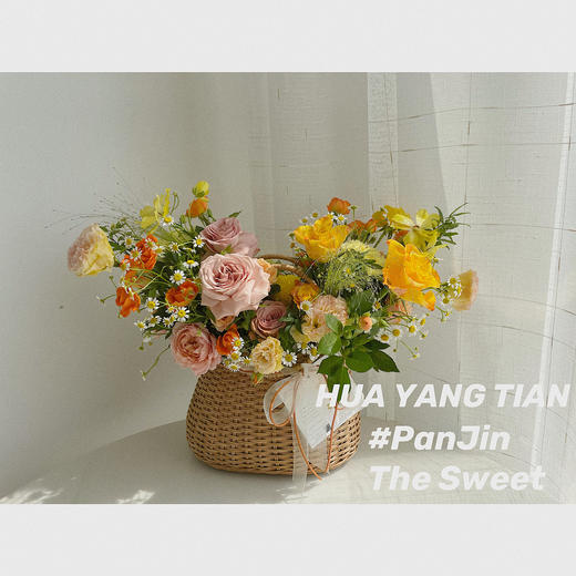  春野喷泉 · 大提篮 商品图1