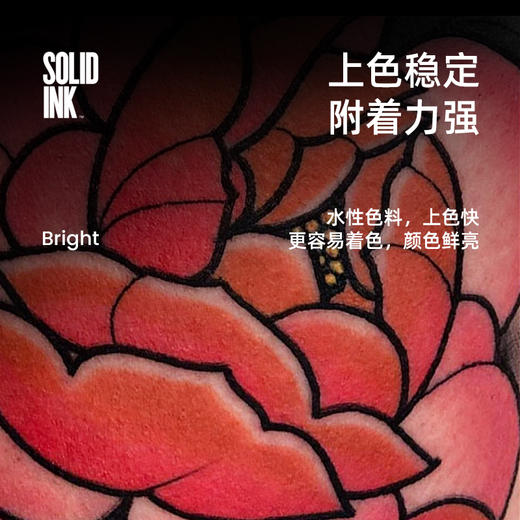 金尊纹身色料金樽彩色纹身色料SOLIDink惊蛰器材 商品图1