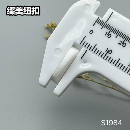 S1984(整包购买) 商品图9