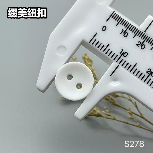 S278(整包购买) 商品图7