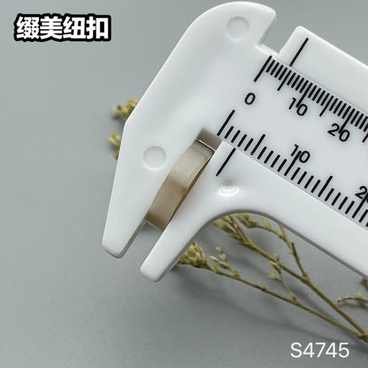 S4745(整包购买) 商品图8