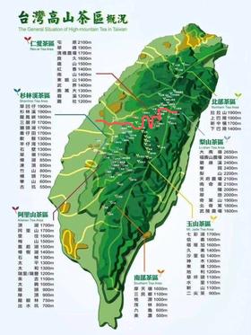 5月4日上梨山大禹嶺茶区