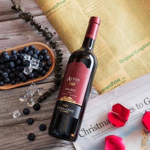 台阶安第斯山脉1009马尔贝克红葡萄酒 商品图1