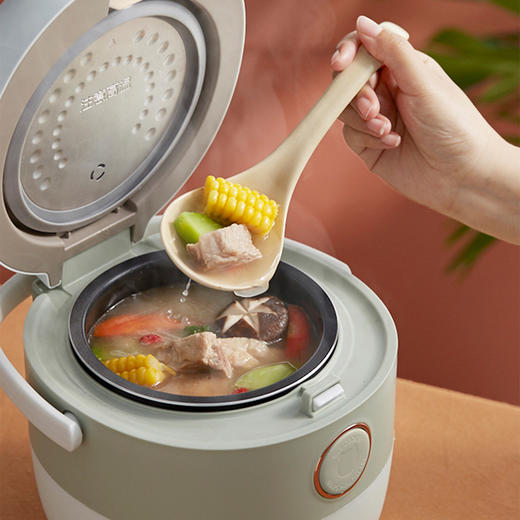 【小程序】小熊电饭煲家用迷你煮饭锅1-2人3-4人小型多功能智能柴火饭电饭锅DFB-B16C1 商品图7