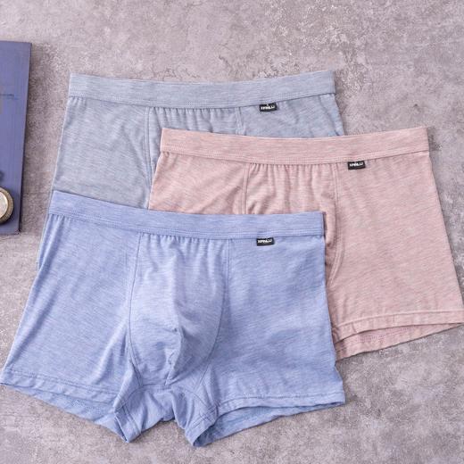 无积分赠品【特价】男内裤13605/3608/83254/13627/23627/33627/13638/23638/73638 商品图5