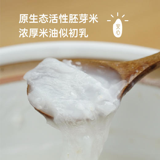 【谦益】【2025年秋季新米】香畴 宝宝胚芽米 孩子直舔碗底 500g/袋【多规格】 商品图3