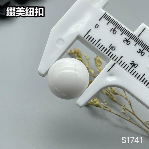 S1741(整包购买) 商品图8