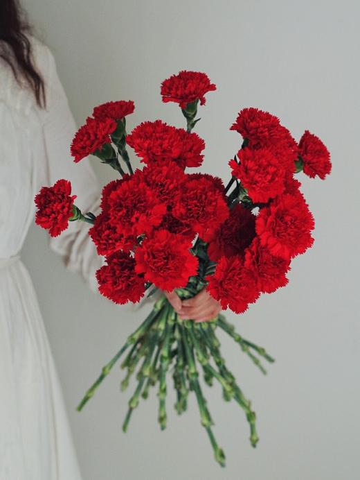 【周四团购】红色康乃馨16枝39.8元 2人拼团 商品图1